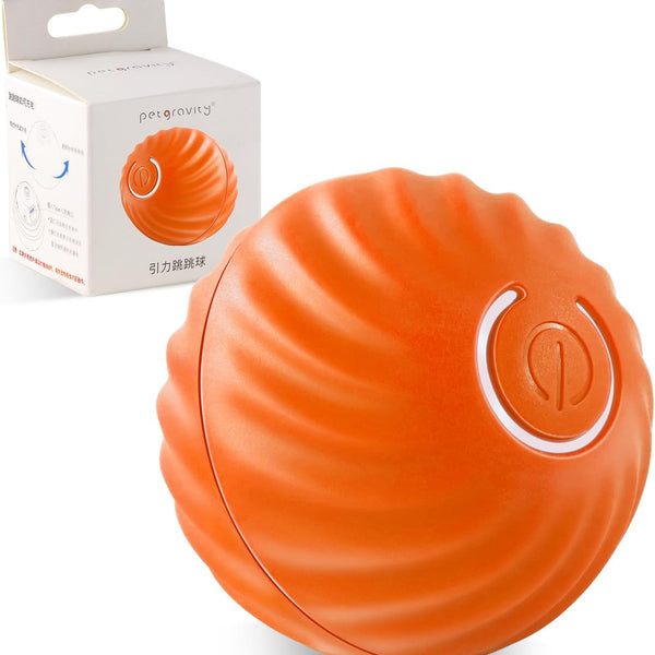 Ball Toy